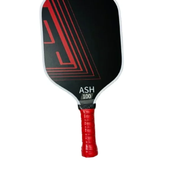 Pickleball Paddles Beginner Version 2.0